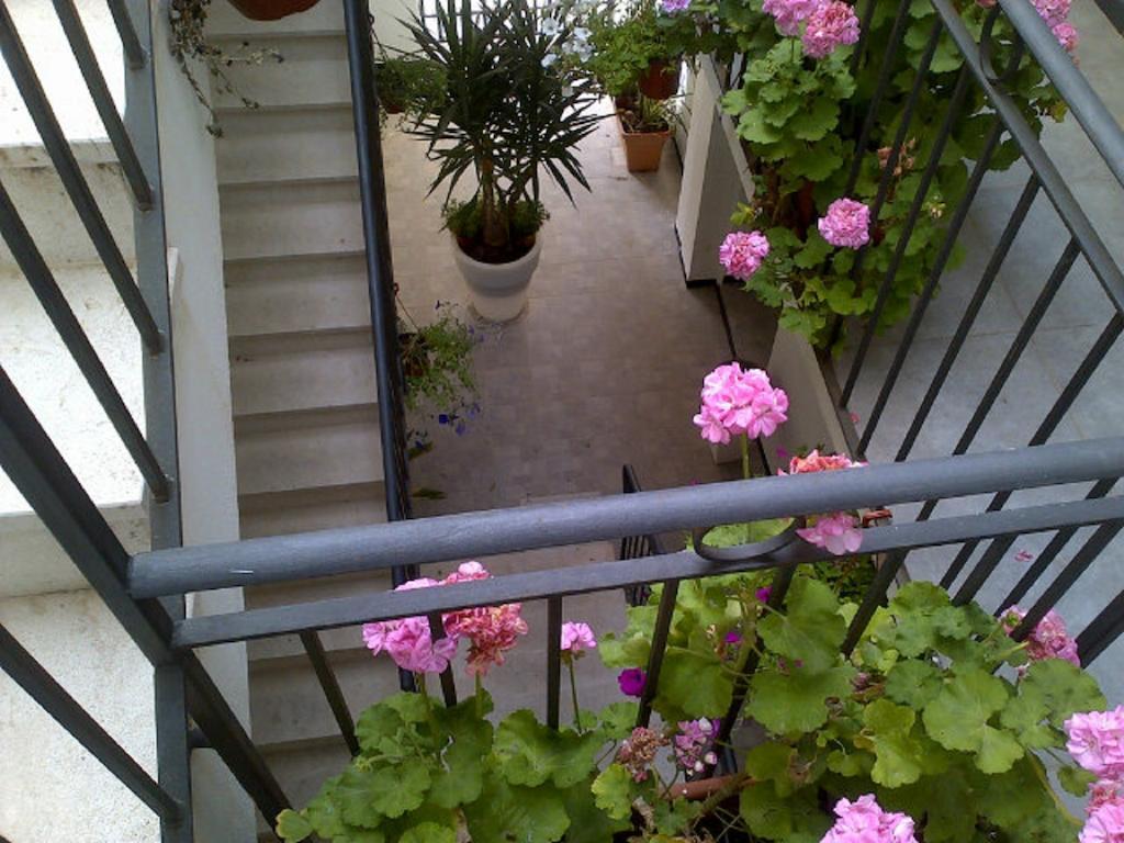 B&B Palazzo Diaz 마르살라 외부 사진